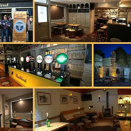 Shanagarry / Ballycotton Glamping Pod Kemping *